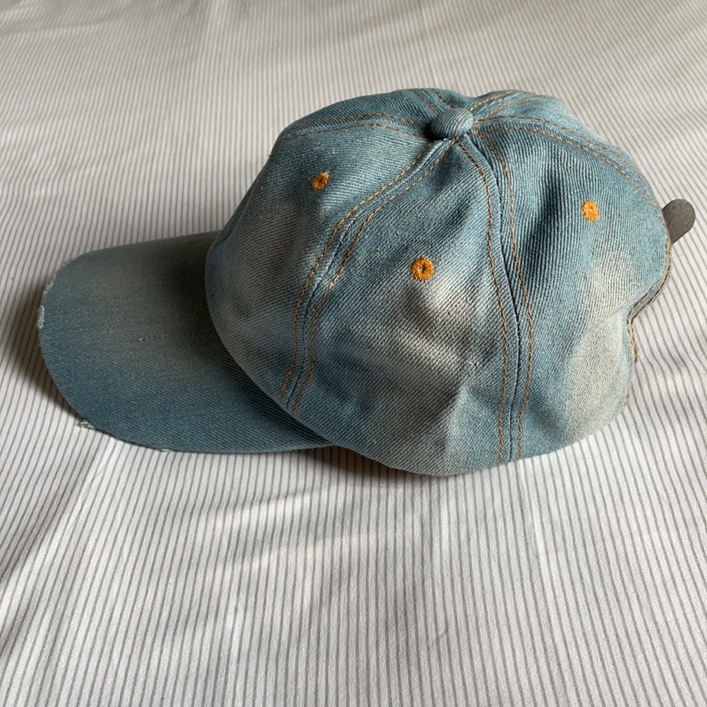 Nwot Distressed Baseball Cap